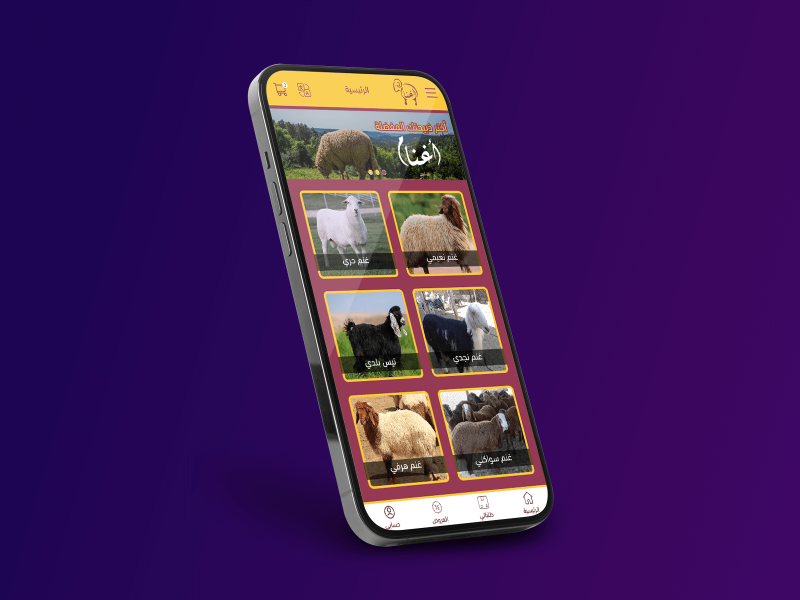 sheep app
